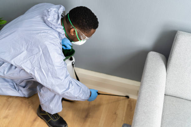 Best Pest Prevention Services  in Hoxie, AR